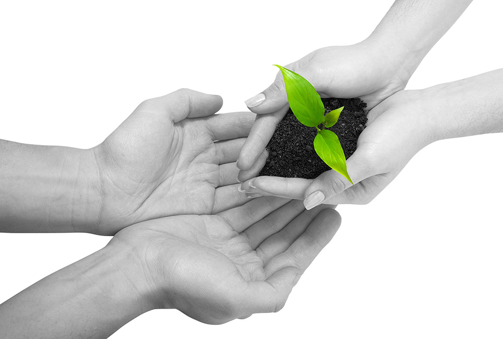 充满生机的怎么去攻击一个网站与防护